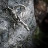 Drache Britische Kunstfiguren-Sammlung
