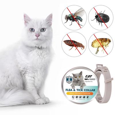 38/62 CM Collar Dogs Γάτες Θεραπεία τσιμπουριών και ψύλλων 8 μήνες Προστασία κατοικίδιων