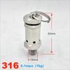 Rongyu 316L Stainless Steel Sanitary Safety Relief Valve