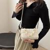 Trendy Casual Crossbody Bag For Women Elegant Pu Small Square Handbag With Soft Texture