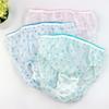 Beisirou Disposable Menstrual Underwear 5-Pack