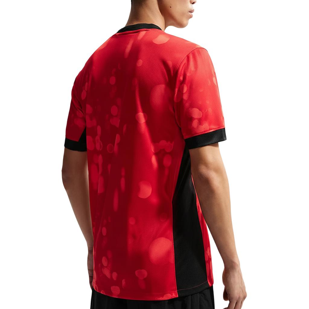 Nike Dri-Fit Chengdu Rongcheng Home Fan Edition Quick-Dry Crew Neck Short Sleeve Football Shirt Men tops IQ0487-614