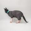 Sphynx Cat Clothes Black Stripe Breathable Shirts Suit, Pet Hat and Shirt Set (Medium)