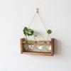 Modern Heart Shape Glass Vases Set With Wooden Frame Suitable For Hydroponic Plant Florals Displays And Home Styling