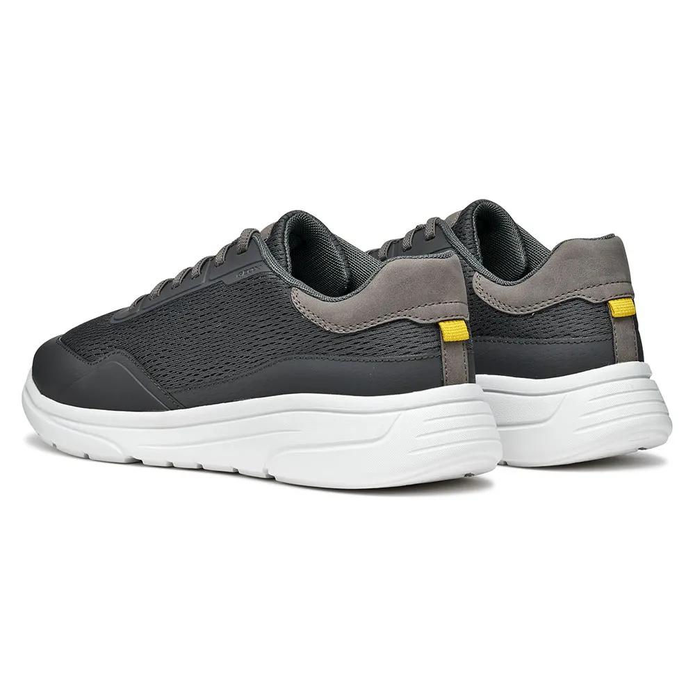 Geox Sneakers Klaiver