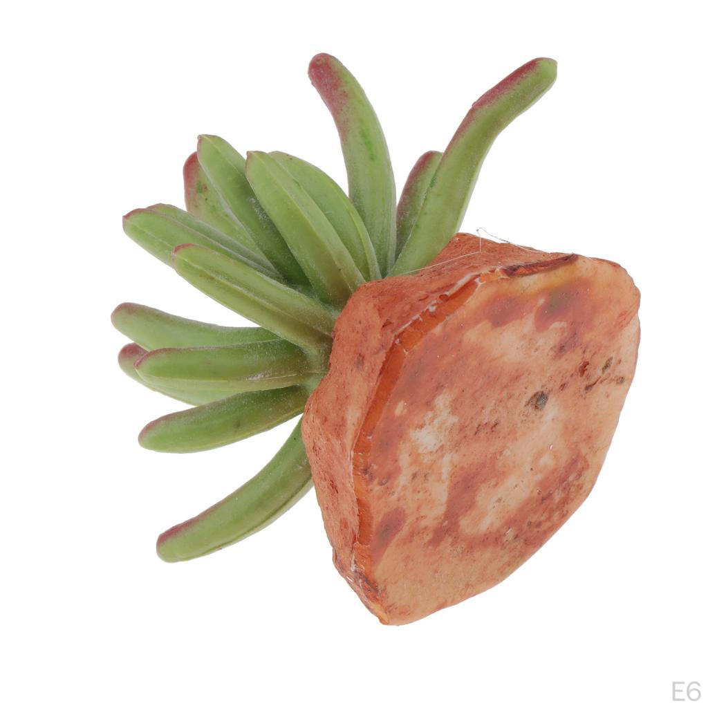 Aquarium Fish Tank Ornaments Reptile Decoration