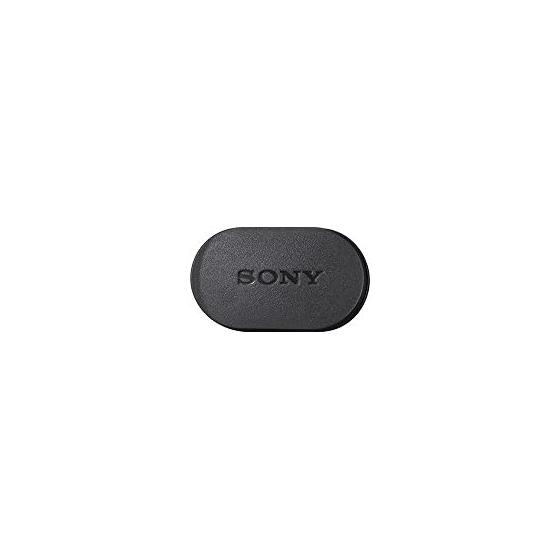 Sony Earphones Deep Bass Model MDR-XB75AP: Canal Type with Remote Control and Microphone, Black MDR-XB75AP B