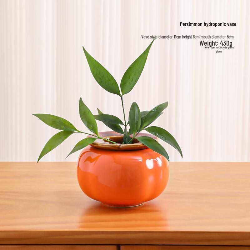 Small Ceramic Desktop Hydroponic Vase for Pothos - Simple Decorative Ornament for Office