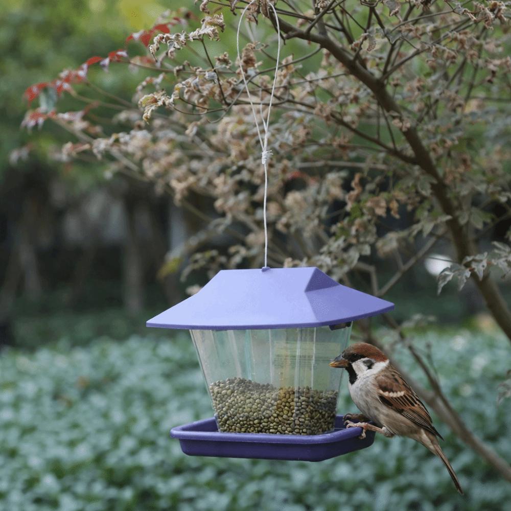 Leak-Proof Automatic Hummingbird Feeder Large Capacity Bird Feeding Station  Bird Supplies