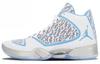 Air 29 'Pantone' 717796-108
