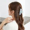 PC Bow Hair Claw Plastic Large Shark Clip Personalized Bowknot Hair Clip  Travel