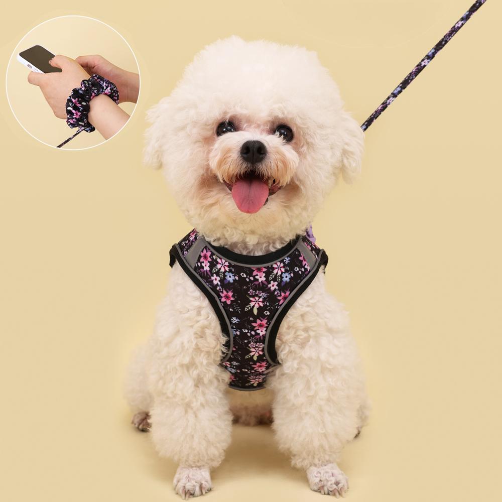 Small Dog Harness Vest Set Cute Traction Bracelet Medium Cat Collar Suit Soft Puppy Vest Harness Adjustable Pet Accessories