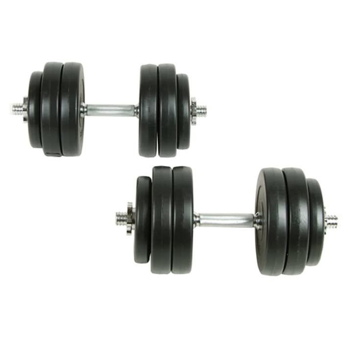 VidaXL 2x Haltères Poids Barres Disques à Revêtement Plastique Gymnase Sport 90235
