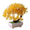 Artificial Plant Bonsai Decoration Shop Decoration