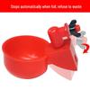 Automatic Drinking Bowl for Baby Chicks, Ducks, Geese, and Quails
