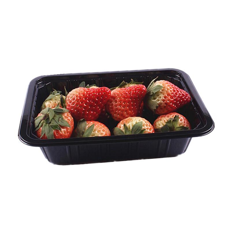 Shixun Transparent PET Rectangular Produce Trays