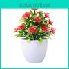 Causonis Japonica Simulation Plastic Flowers Green Plants For Home Decor
