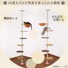 Iris Plaza Cat Step Fluffy Cat Brown Natural Tower, Tension, Hammock, Customization, Material, Pole, 1) (Circular Shelf)