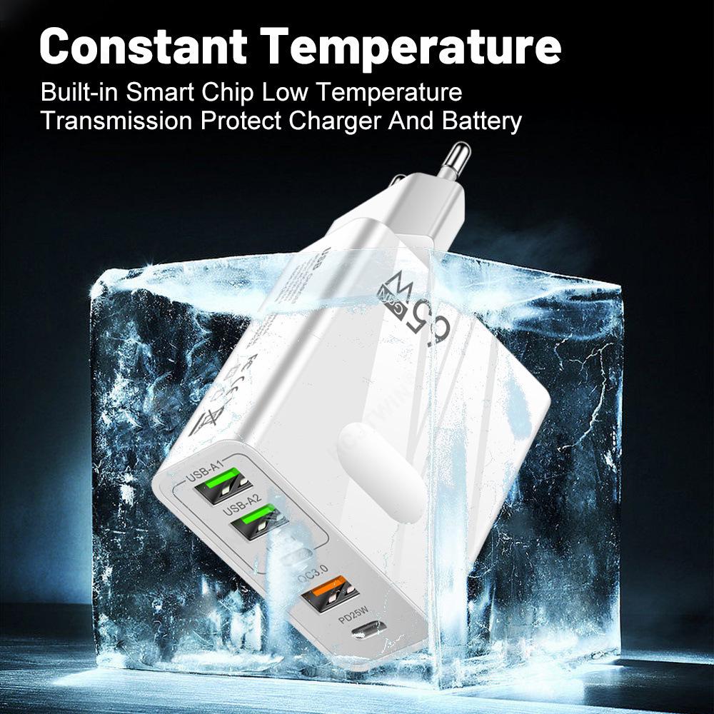 65W PD Rapid Charger: 5A Type-C + 3 USB Multi-Port Travel Adapter