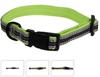 Dog Collar, 3 Sizes