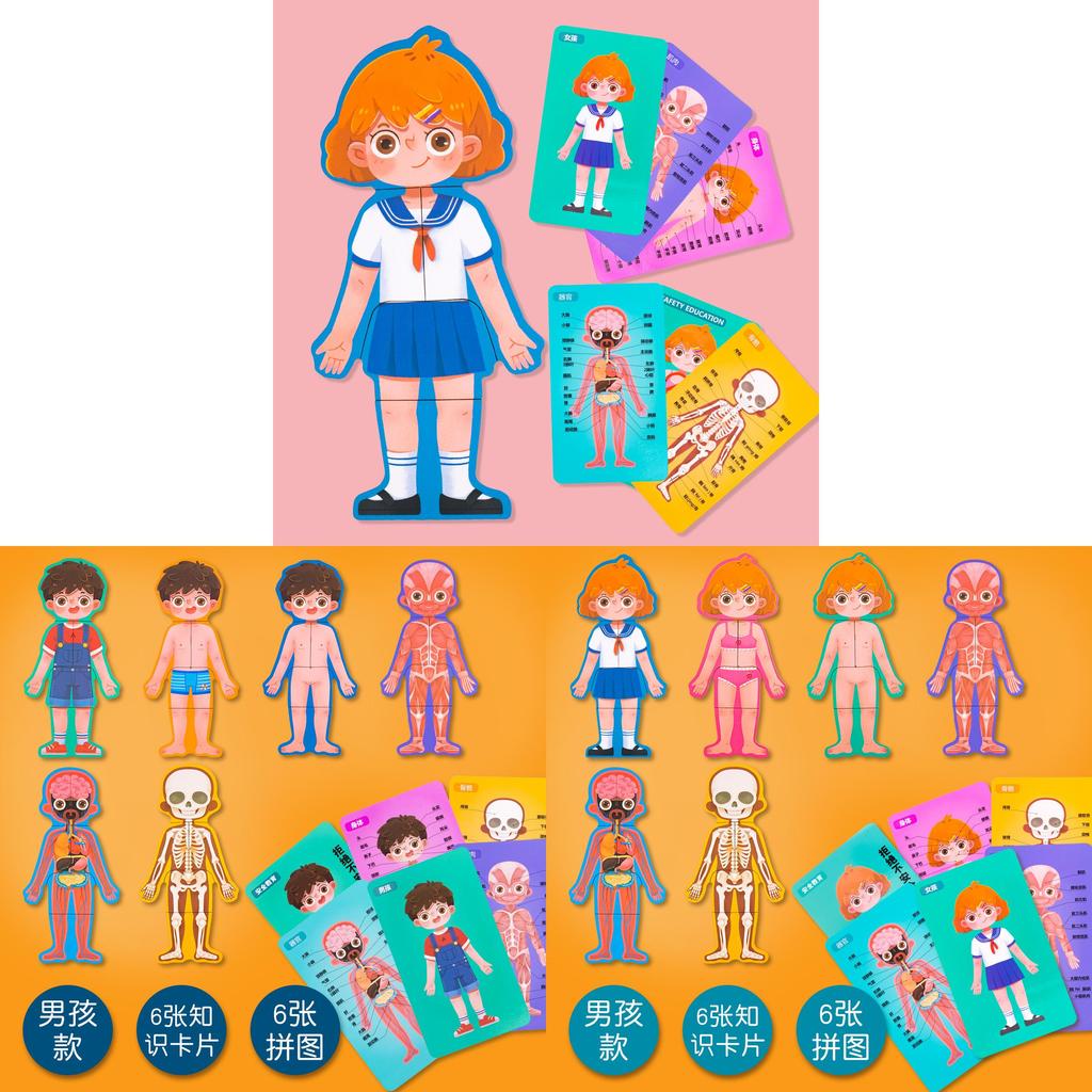 Wooden Body Structure Puzzle For Kids Educational Learning Toy For Boys And Girls