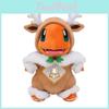 Christmas Gift Cloak Transformation Plush Stuffed Animal Cute Charmander Eevee Doll