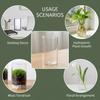 Borosilicate Glass Vase For Hydroponic Plants Straight Cylinder Design Indoor Desktop Decoration