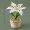 Handmade White Lilies for The New Year,Perfect Gifts for Loved Ones,Elders,And Teachers,Suitable for Decorating Bedrooms,Living Rooms,And Office Desks