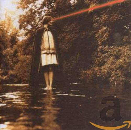 

CD SCOUT NIBLETT - This Fool Can Die Now PURE208CD Too Pure 2007 US Rock Used