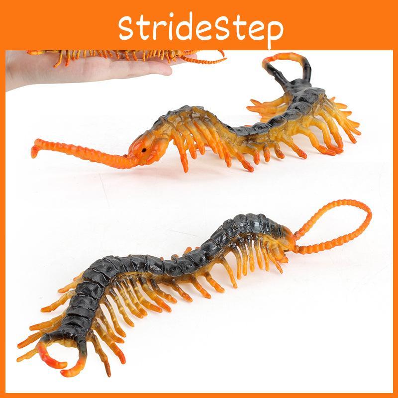 Lifelike Centipede Display Model For Kids Early Education And Home Decoration