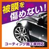 Prostaff Monster Very Berry Rush Iron Remover 700ml Gel S209 Cleaner, Type,