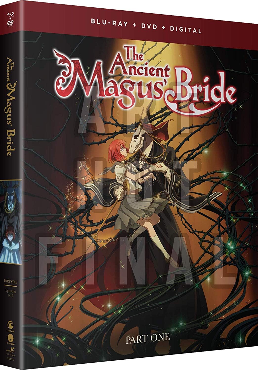 

Ancient Magus Part One Bride [Blu-ray]