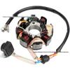 CB125-8 Off-Road/Street ATV Bike Coil Magneto Stator 150/250CC