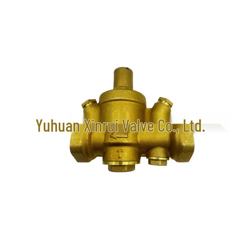 Adjustable Brass Pressure Reducing Valve with Filter & Anti-Leak Relief for Tap Water