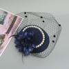Fascinator Elegant Retro Birdcage Veil Hat Black Veil Top Hair Accessories Bridal Face Veils