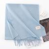 New Solid Color Maillard Imitation Cashmere Scarf for Women Autumn and Winter High End Warm Shawl Simple Scarf