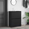 VidaXL Armoire à Chaussures 2 Tiroirs Rabattables, Étagère à Chaussures avec Rangement, Meuble à Chaussures Salon, Moderne, 3214400