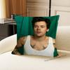 HHaRRy Music Styles Cushion For Bedroom Car Coffee Shop Room and Living Room Sofa Decorative Pillow Cover Case
