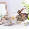 Nordic Resin Toucan Key Storage Box Living Room Table Decoration Creative Statue Home Finishing Decor Porch Key Storage Key Organizer Box Art Craft