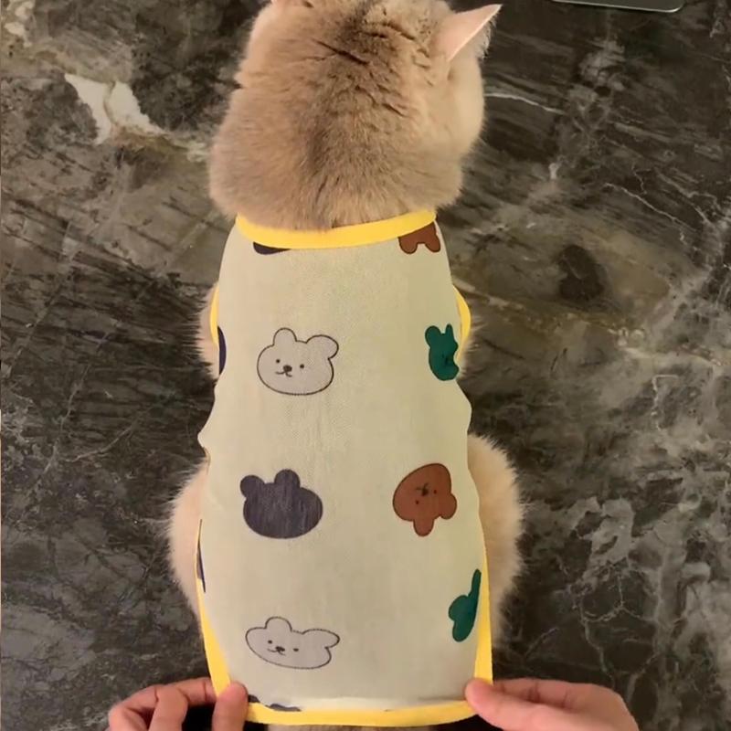 Pet Cat Clothes Summer Anti-hair Loss Cute Gold Gradient Ragdoll Cat British Short Summer Breathable Small Vest