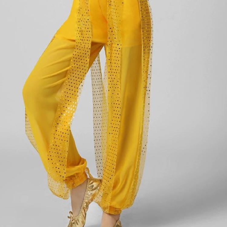 Lady Belly Dancer Costume Belly Dancing Sequins Bra Tops Lantern Pants Trousers Halloweem Performances Costume for Womens