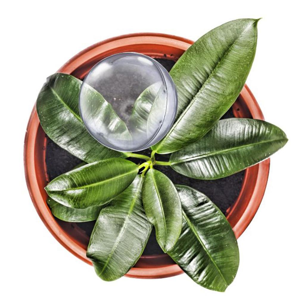 12Pcs Large Plant Watering Bulbs, Automatic Self-Watering Globes Plastic Balls Garden Water Device Watering Bulbs for Plant (Clear)