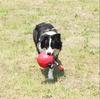 Interactive Throwing Training Game Soccer Ball Bite-proof Pet Dog Ball Toy Cowhide Harmless Teeth for Dog Pet Training Supplies