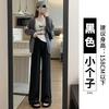 Knitted Cashmere Wide-leg Pants Women's Winter Velvet Thickened Small Oat Narrow Version Straight Autumn and Winter Casual Pants