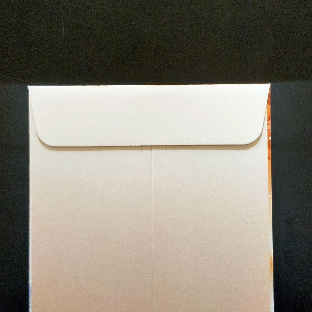Pokemon Center New Envelope 1 piece New New Best Starter Mount Fuji Year's (2012) - - Year's Day, Year's Card, Pikachu, Keldeo, Wishes, Magikarp,