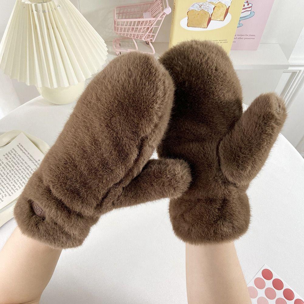Warm Winter Plush Gloves Velvet Windproof Gloves New Solid Color  Gloves  Women