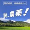 This Is Yakushima Oolong Tea We Created. Natural Cultivation 100g Cold Brew Pesticide-free No Chemical Fertilizers Zero Pesticide Residues.