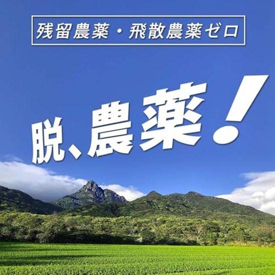 This Is Yakushima Oolong Tea We Created. Natural Cultivation 100g Cold Brew Pesticide-free No Chemical Fertilizers Zero Pesticide Residues.