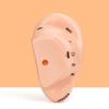 18cm Ear Acupuncture Meridian Model