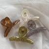 Acrylic Small Hair Claw Clip for Bangs and Fringe Hairpin Accessory
